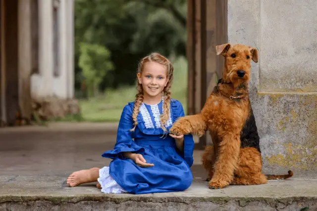 Airedale Terrier and girl
