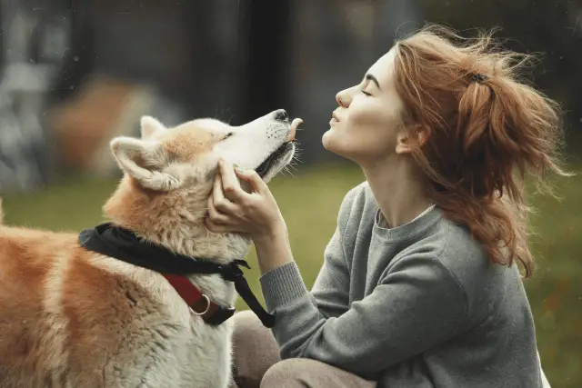 Akita Inu and owner