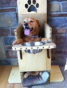 bailey chair dog