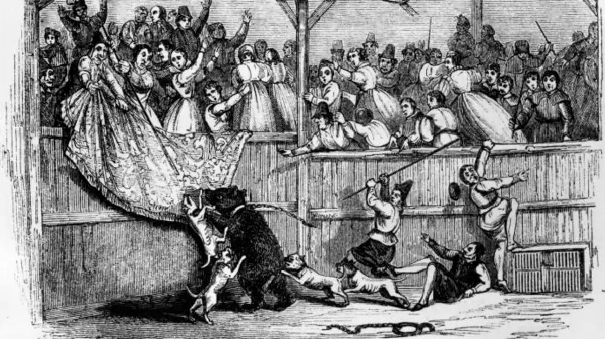 bear baiting history