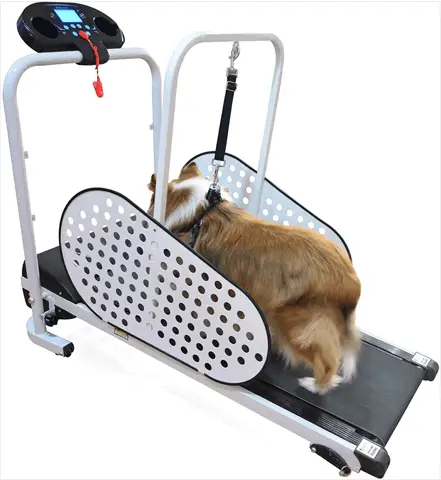 BingBing Dog Treadmill