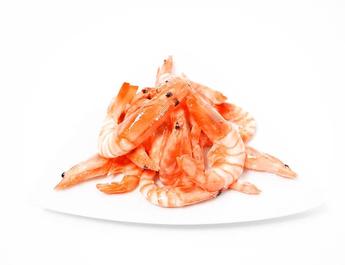 is boiled shrimp good for dogs