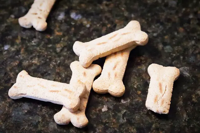 bone dog treats