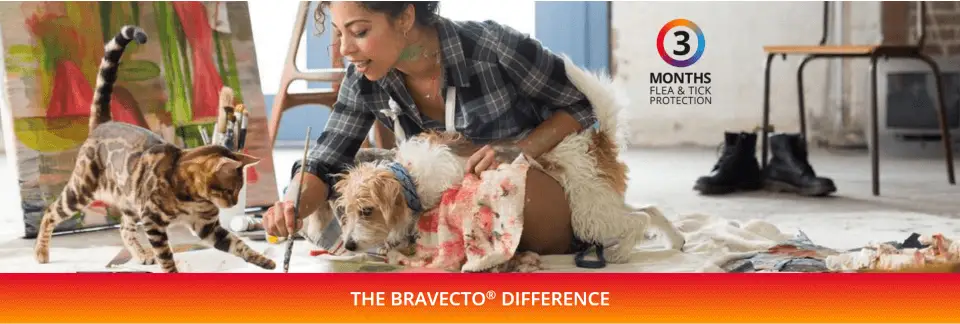 bravecto banner 2