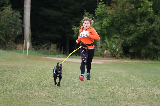 canicross girl running