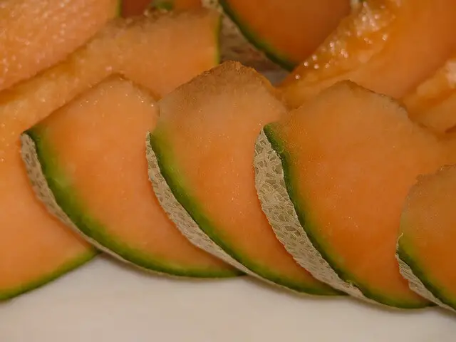 cantaloupe closeup