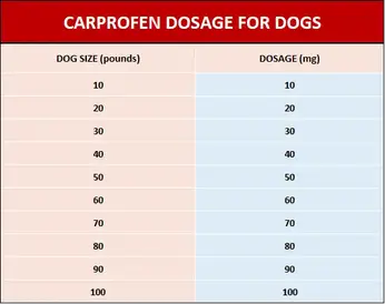 Vet Corner Carprofen For Dogs