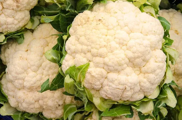 cauliflower