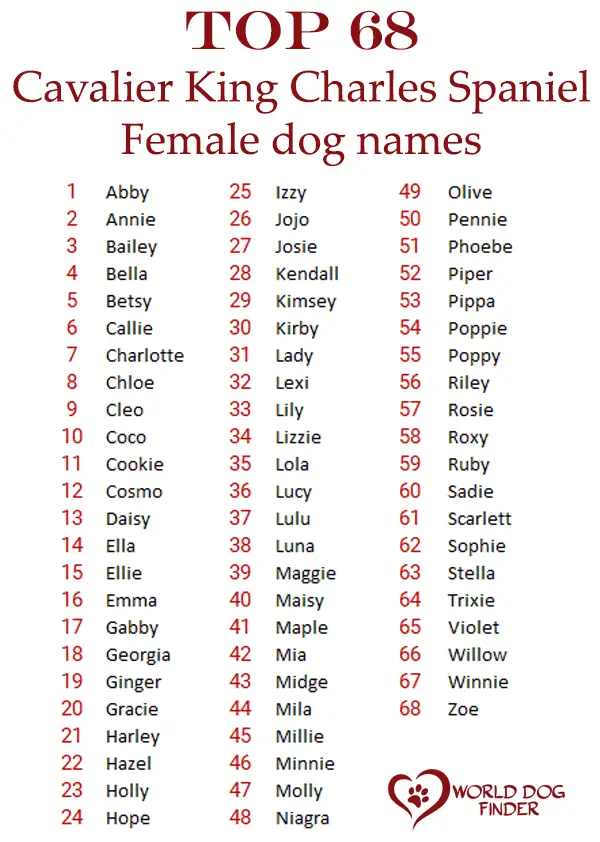 Female Cavalier King Charles Spaniel names