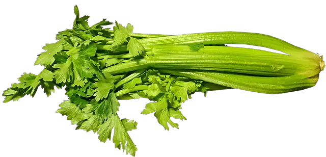 celery on white