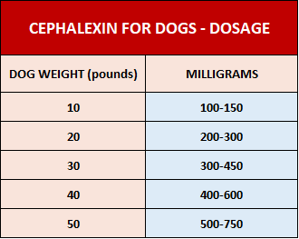 Cephalexin for Dogs dosage