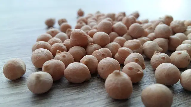 garbanzos