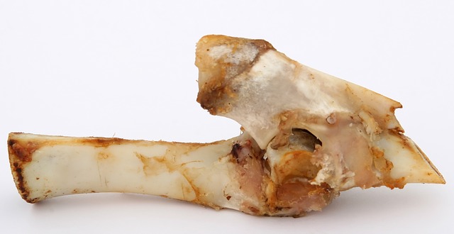 chicken bone