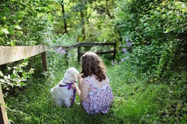 child and dog in nature