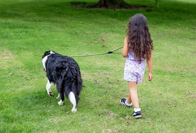 child and dog walking