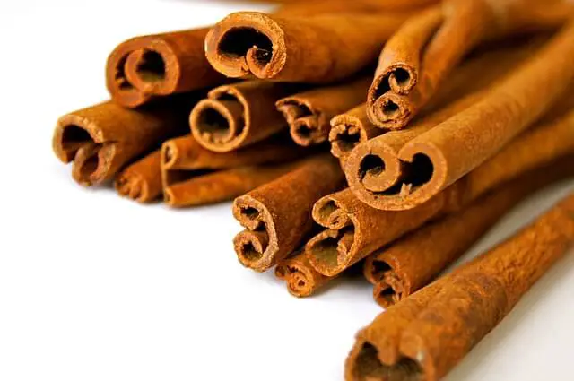 cinnamon sticks closeup