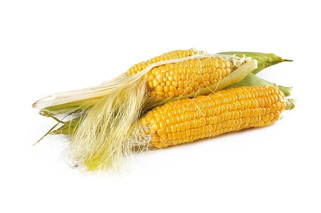 corn