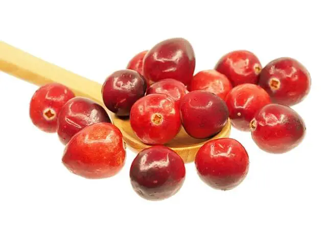cranberries on spoon