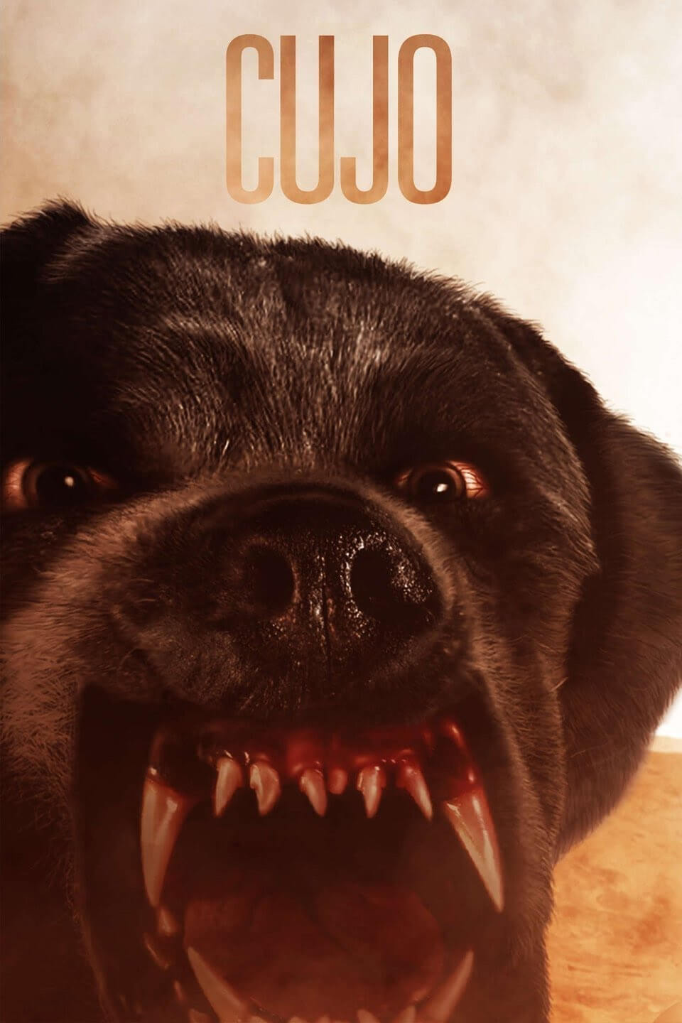 cujo dog book