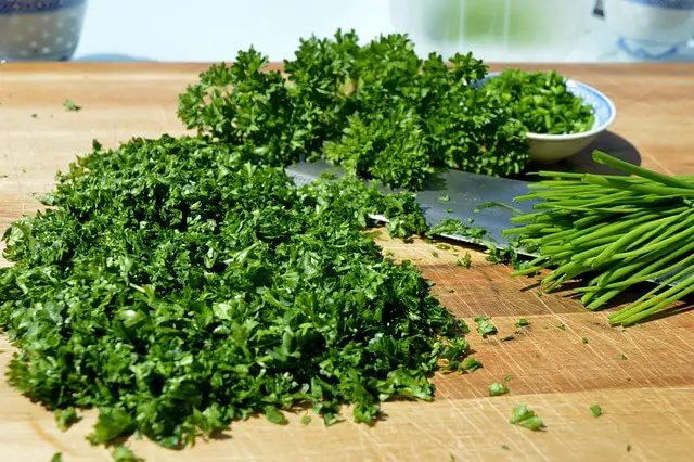 cutting parsley