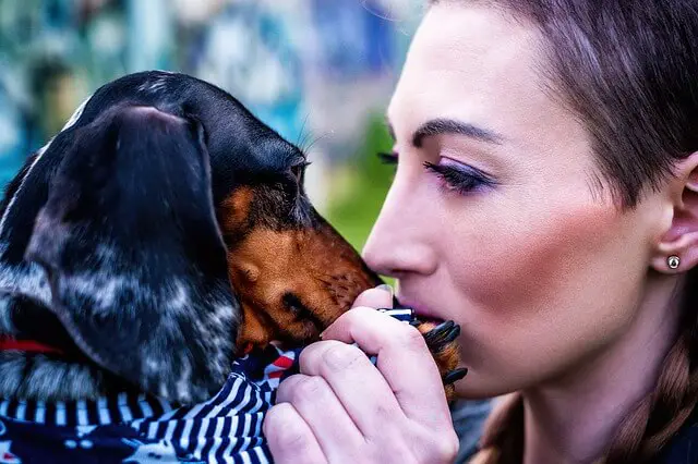 dachshund y una mujer