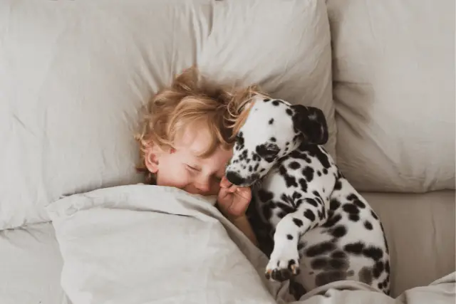 Dalmatian and kid