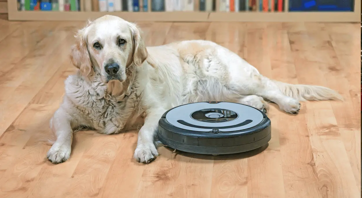 dog_and_a_vacuum_cleaner