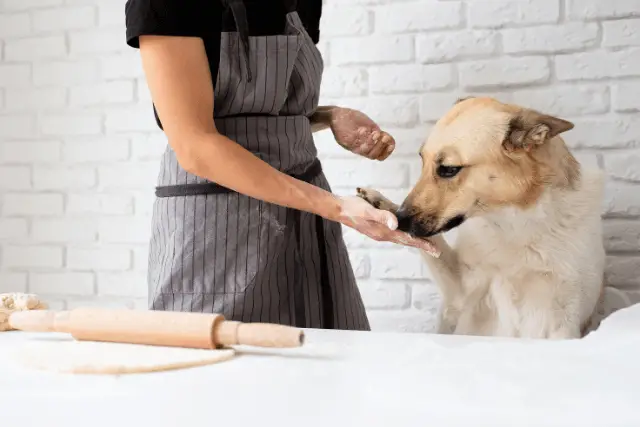 dog and flour