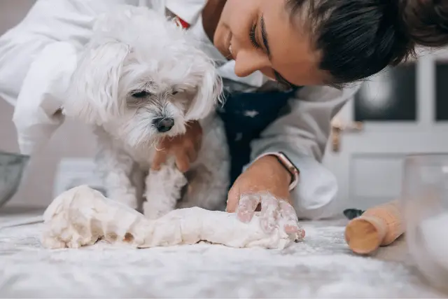 dog and flour