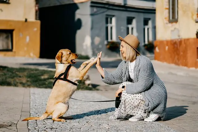 perro y niña