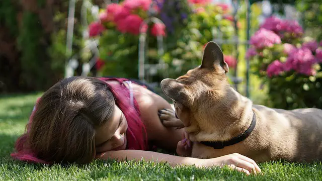 dog and girl laying on grass