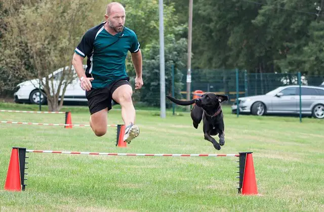 perro y humano corriendo