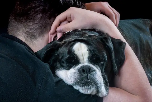 dog and owner hugging