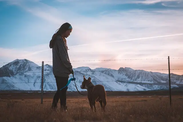 Perro y dueño en la naturaleza