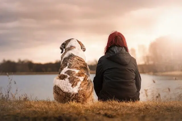 dog and owner next to a river