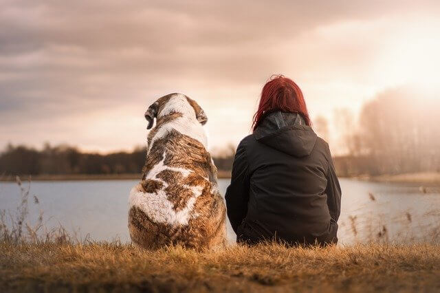 dog and owner next to a river