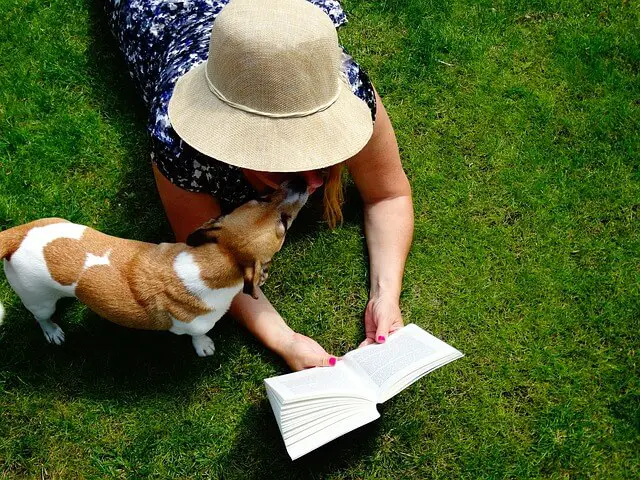 dog and owner reading