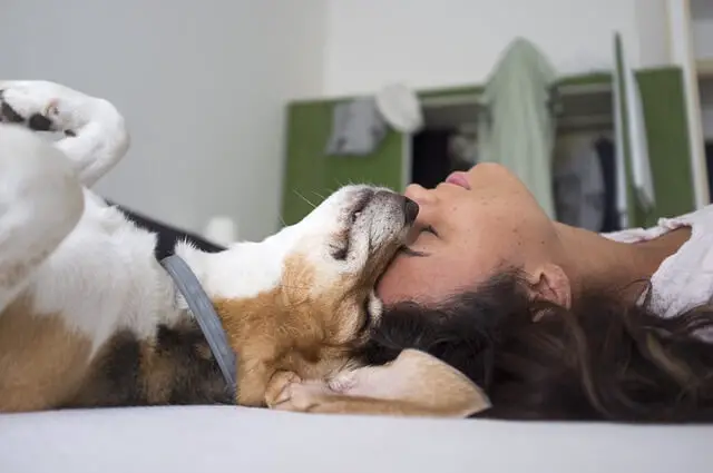 dog and owner sleeping