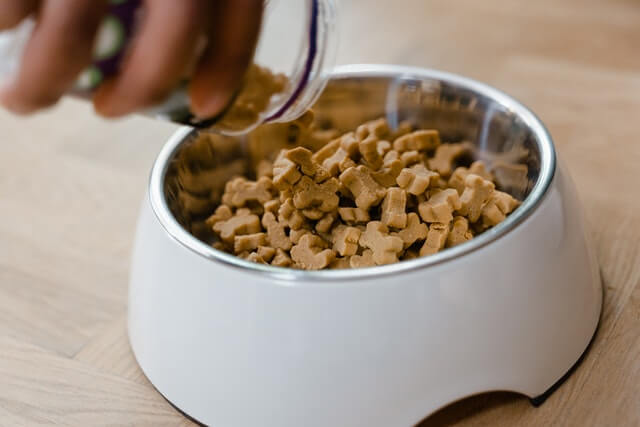 dog food bowl