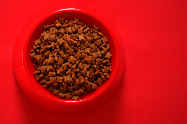 dog food in bowl