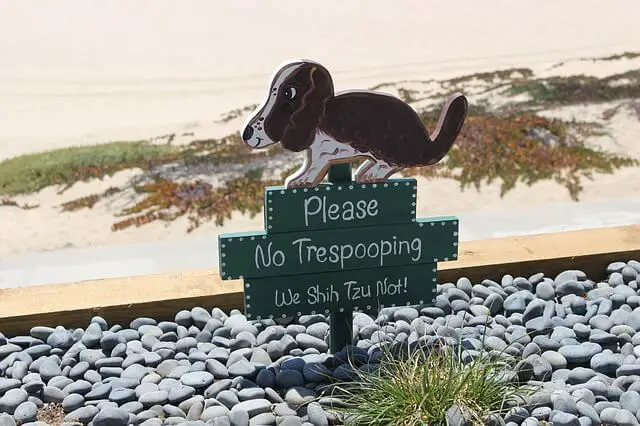 dog sign