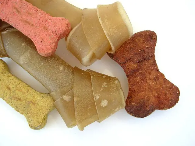 dog treats and rawhide