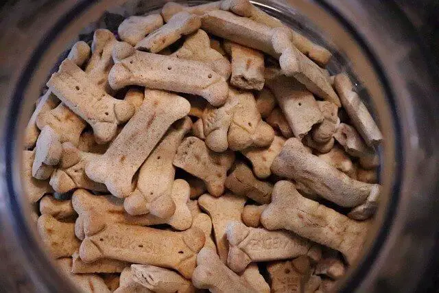 dog treats bone in container