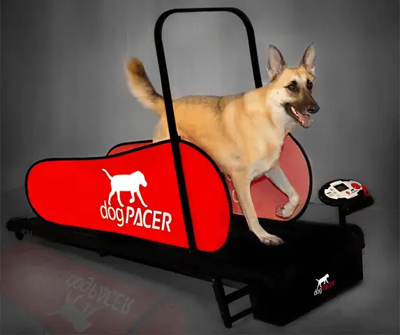 DogPACER Full-Size Treadmill