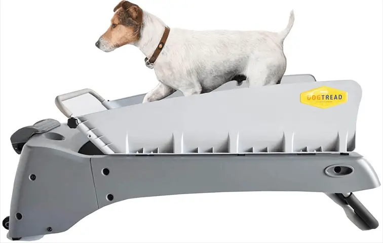 DogTread Premium Small Dog Treadmill