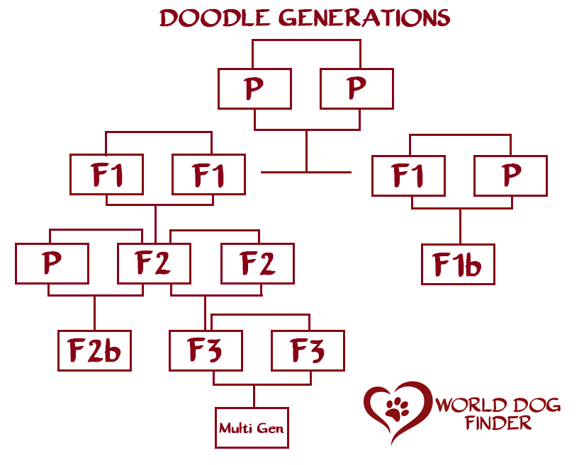 doodle generations