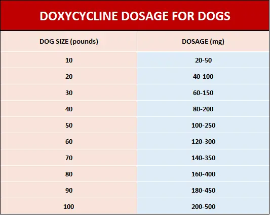 Doxycycline dosage for dogs