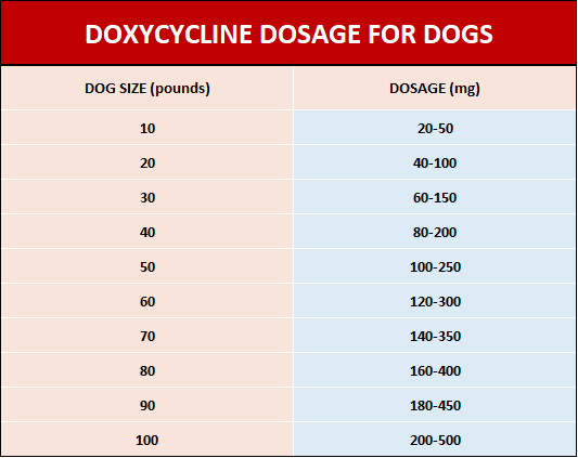 Penicillin Dosage Chart For Dogs