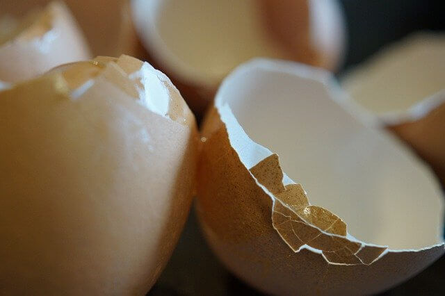 eggshells