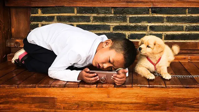 cucciolo di famiglia